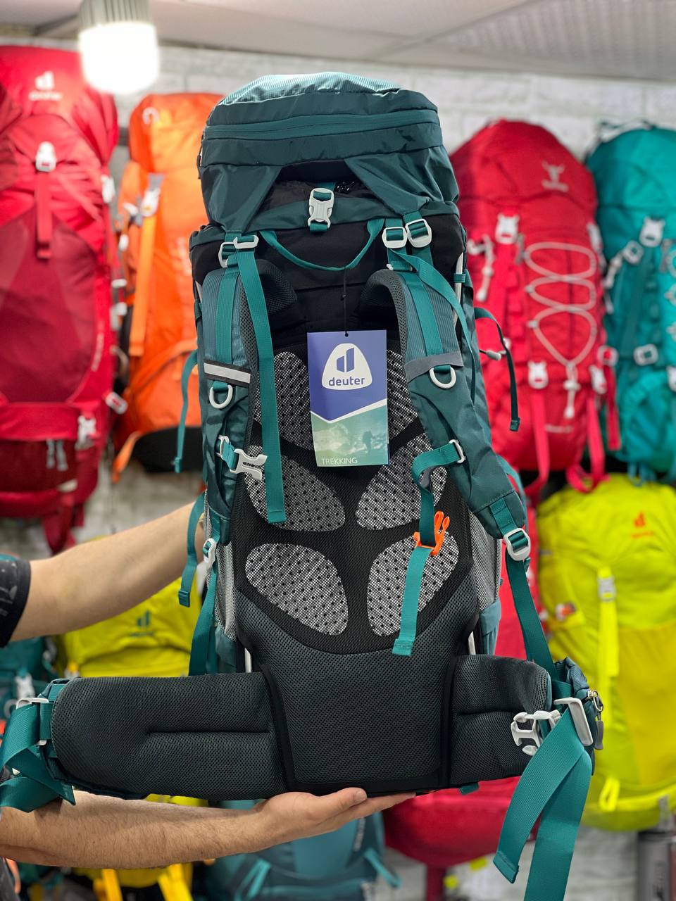 کوله پشتی کوهنوردی 5+65 لیتر DEUTER مدل WILDGUEST (9)