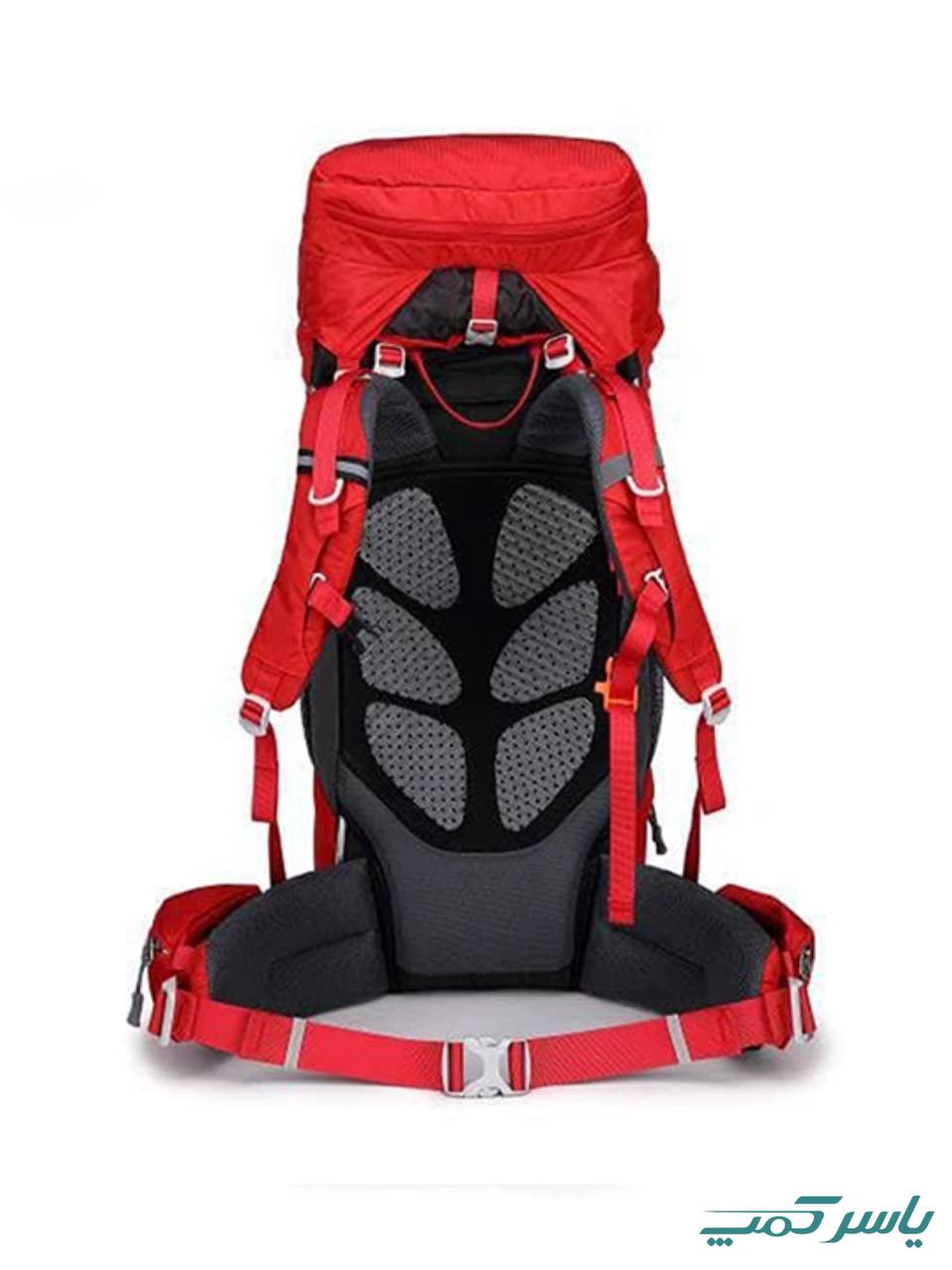 کوله پشتی کوهنوردی 5+65 لیتر DEUTER مدل WILDGUEST